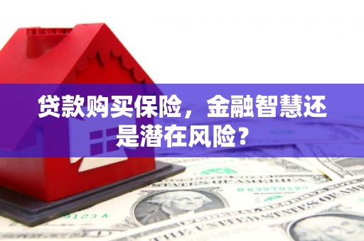 阳曲贷款购买保险，金融智慧还是潜在风险？