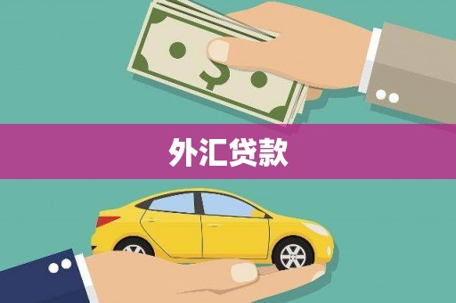 阳曲外汇贷款
