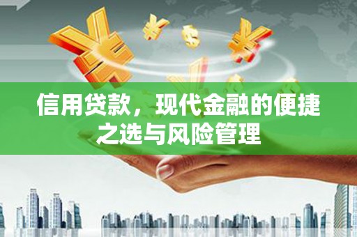 阳曲信用贷款，现代金融的便捷之选与风险管理