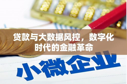 阳曲贷款与大数据风控，数字化时代的金融革命