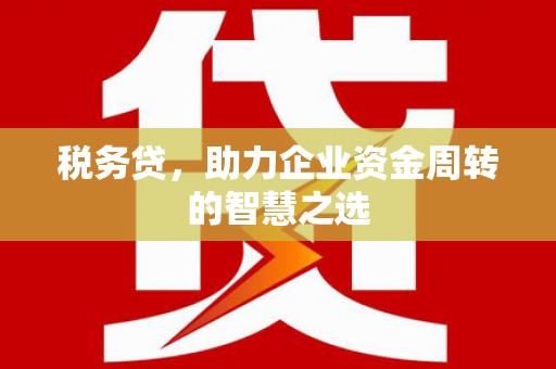 阳曲税务贷，助力企业资金周转的智慧之选