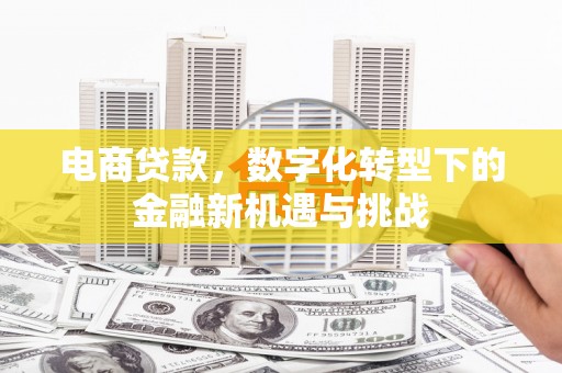 阳曲电商贷款，数字化转型下的金融新机遇与挑战