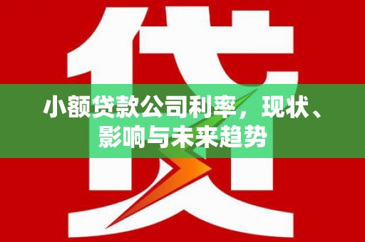 阳曲小额贷款公司利率，现状、影响与未来趋势