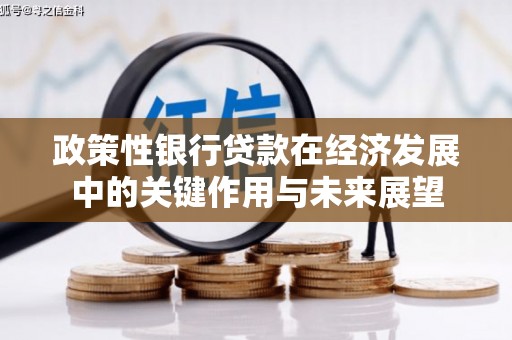 阳曲政策性银行贷款在经济发展中的关键作用与未来展望