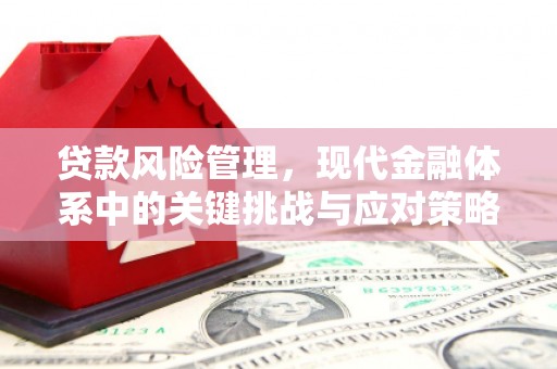阳曲贷款风险管理，现代金融体系中的关键挑战与应对策略