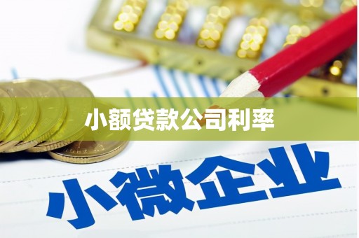 阳曲小额贷款公司利率
