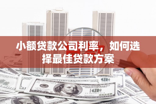 阳曲小额贷款公司利率，如何选择最佳贷款方案
