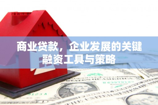 阳曲商业贷款，企业发展的关键融资工具与策略