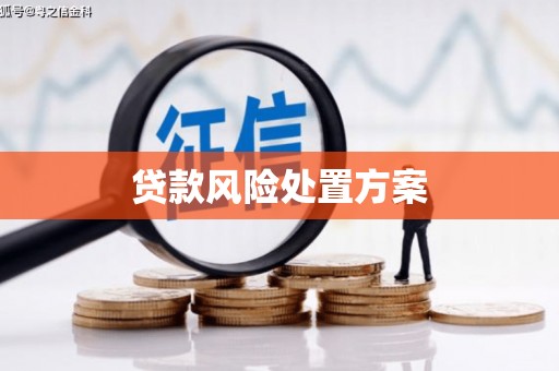 阳曲贷款风险处置方案