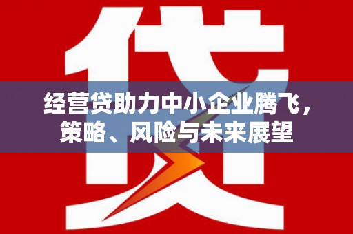 阳曲经营贷助力中小企业腾飞，策略、风险与未来展望