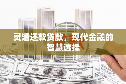 阳曲灵活还款贷款，现代金融的智慧选择