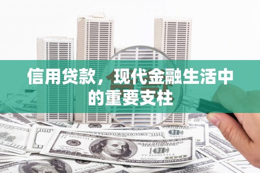 阳曲信用贷款，现代金融生活中的重要支柱