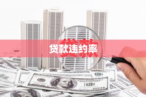 阳曲贷款违约率
