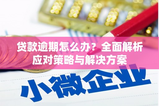 阳曲贷款逾期怎么办？全面解析应对策略与解决方案