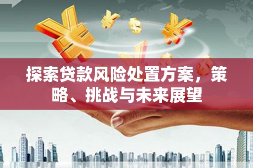 阳曲探索贷款风险处置方案，策略、挑战与未来展望