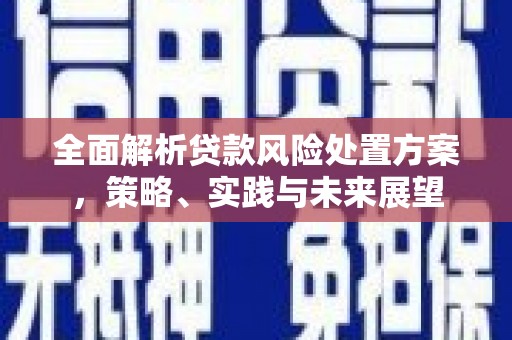 阳曲全面解析贷款风险处置方案，策略、实践与未来展望