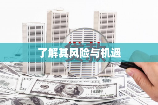 阳曲了解其风险与机遇