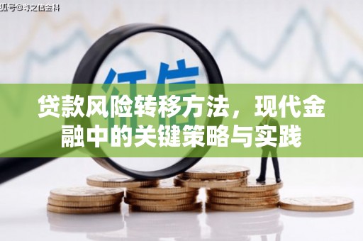 阳曲贷款风险转移方法，现代金融中的关键策略与实践