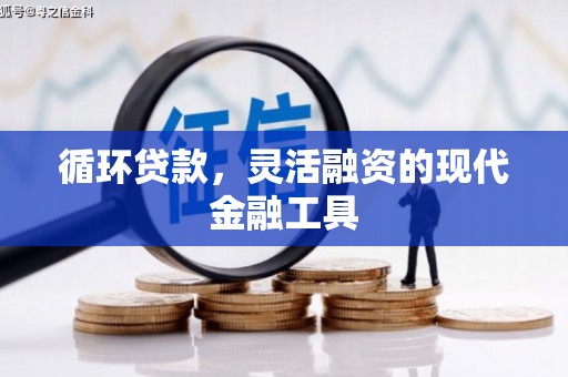阳曲循环贷款，灵活融资的现代金融工具