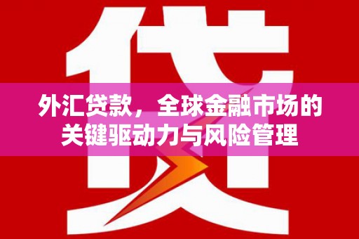 阳曲外汇贷款，全球金融市场的关键驱动力与风险管理