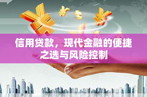 阳曲信用贷款，现代金融的便捷之选与风险控制