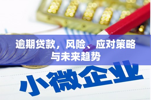 阳曲逾期贷款，风险、应对策略与未来趋势