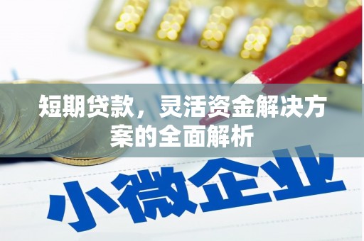 阳曲短期贷款，灵活资金解决方案的全面解析
