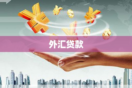 阳曲外汇贷款