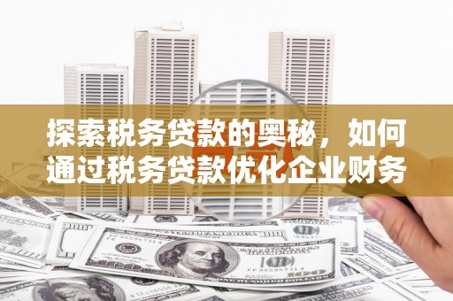 阳曲探索税务贷款的奥秘，如何通过税务贷款优化企业财务