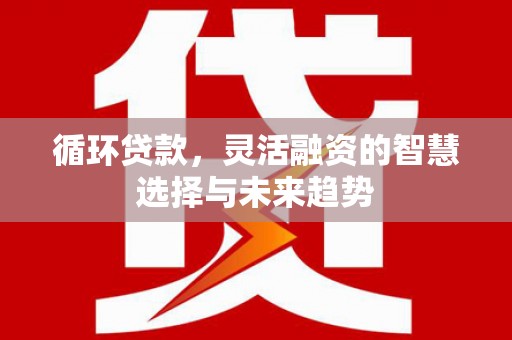 阳曲循环贷款，灵活融资的智慧选择与未来趋势