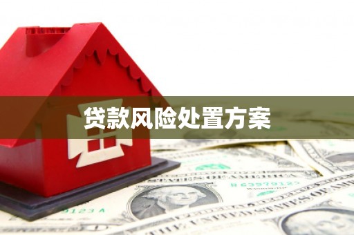 阳曲贷款风险处置方案