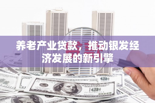 阳曲养老产业贷款，推动银发经济发展的新引擎