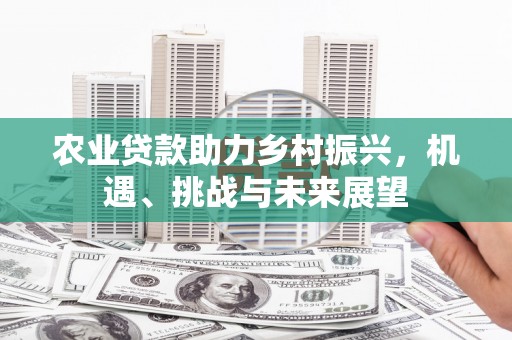 阳曲农业贷款助力乡村振兴，机遇、挑战与未来展望