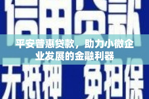阳曲平安普惠贷款，助力小微企业发展的金融利器