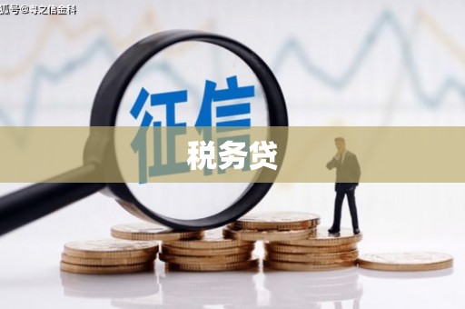 阳曲税务贷
