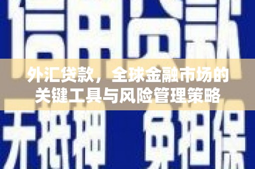 阳曲外汇贷款，全球金融市场的关键工具与风险管理策略
