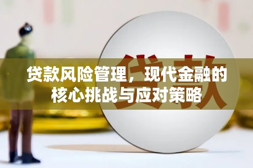 阳曲贷款风险管理，现代金融的核心挑战与应对策略