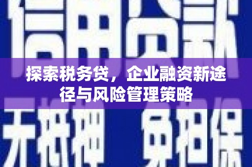 阳曲探索税务贷，企业融资新途径与风险管理策略
