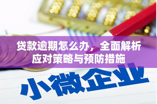 阳曲贷款逾期怎么办，全面解析应对策略与预防措施