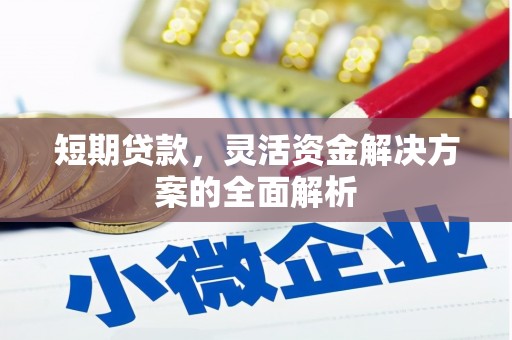 阳曲短期贷款，灵活资金解决方案的全面解析
