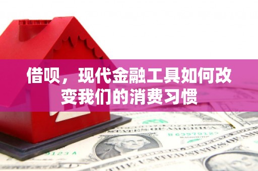 阳曲借呗，现代金融工具如何改变我们的消费习惯