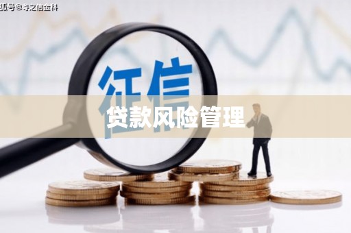 阳曲贷款风险管理