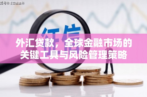 阳曲外汇贷款，全球金融市场的关键工具与风险管理策略
