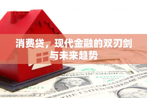 阳曲消费贷，现代金融的双刃剑与未来趋势