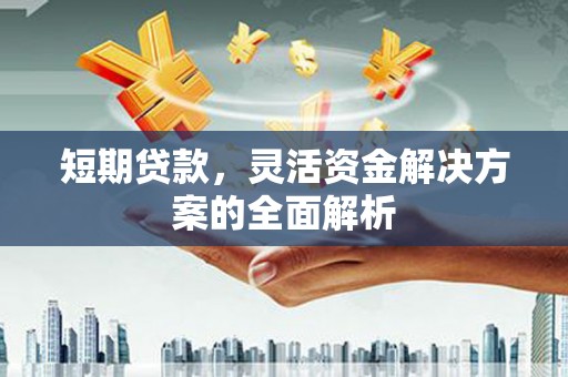 阳曲短期贷款，灵活资金解决方案的全面解析
