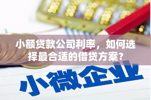 阳曲小额贷款公司利率，如何选择最合适的借贷方案？