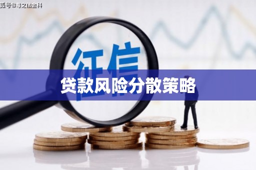阳曲贷款风险分散策略