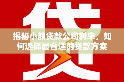 阳曲揭秘小额贷款公司利率，如何选择最合适的贷款方案