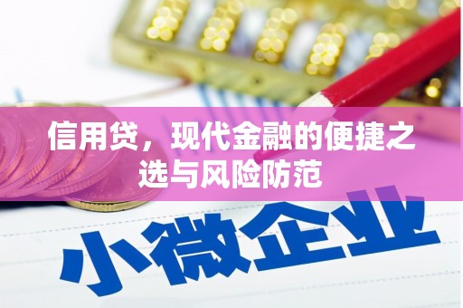 阳曲信用贷，现代金融的便捷之选与风险防范
