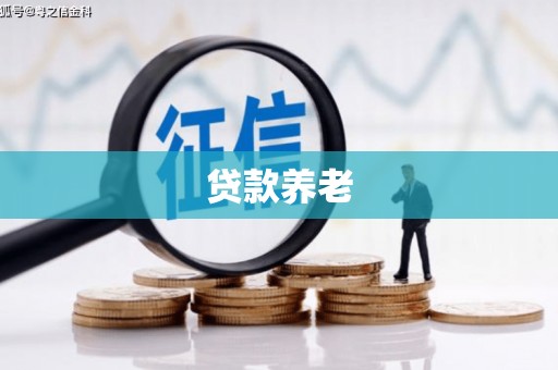 阳曲贷款养老